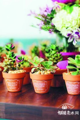 借婚禮創意助花卉節日營銷 禮品花卉銷售新思路