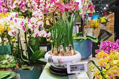 長(zhǎng)寧各大商圈紅紅火火迎新春，禮品花卉銷售火爆顯年味