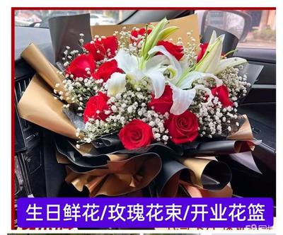 銀川興慶區(qū)解放西街 探尋蕁麻科植物的魅力與市場(chǎng)指南